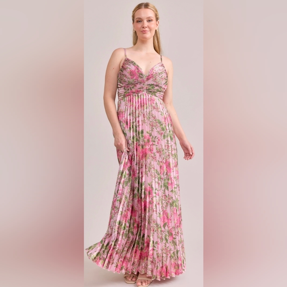 NWT Revelry Vivian chiffon pleated floral print dress Size 12